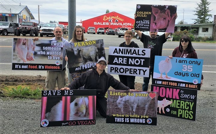 Kris stands with the "Animals Are Not Property" sign alongside Ryan and Shannon Hill of Sky's The Limit Sanctuary, Paul and Maggie Bowen, and Dave Roers outside the Enunclaw Live Animal Auction in June.