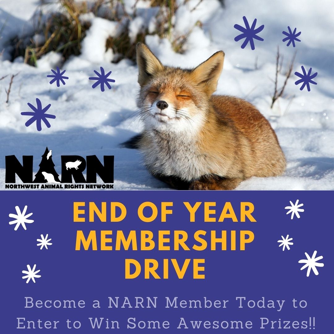 Get Involved – NARN – Northwest Animal Rights Network