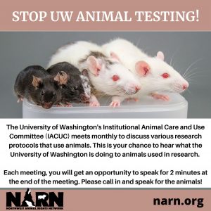 Animals in Labs at the University of Washington – NARN – Northwest Animal  Rights Network
